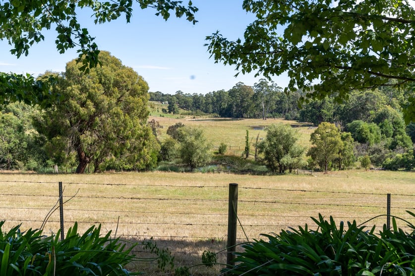 Click to view all images 365 Beenak Road Yellingbo VIC 3139 - Image 3