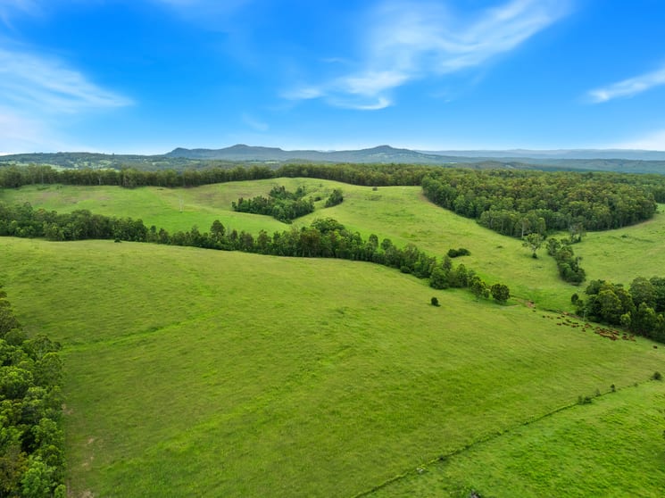 Click to view all images 140 Deep Creek Road Mallanganee NSW 2469 - Image 3