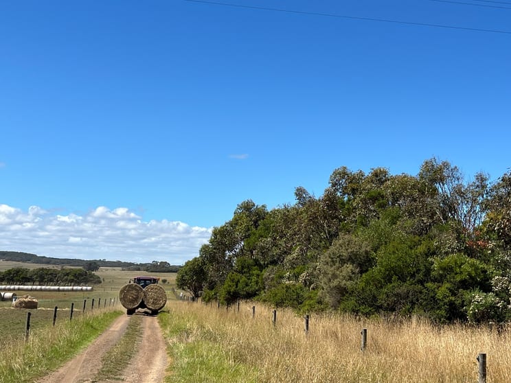 Click to view all images Lot 2, 548 Curdievale-Port Campbell Road Port Campbell VIC 3269 - Image 3