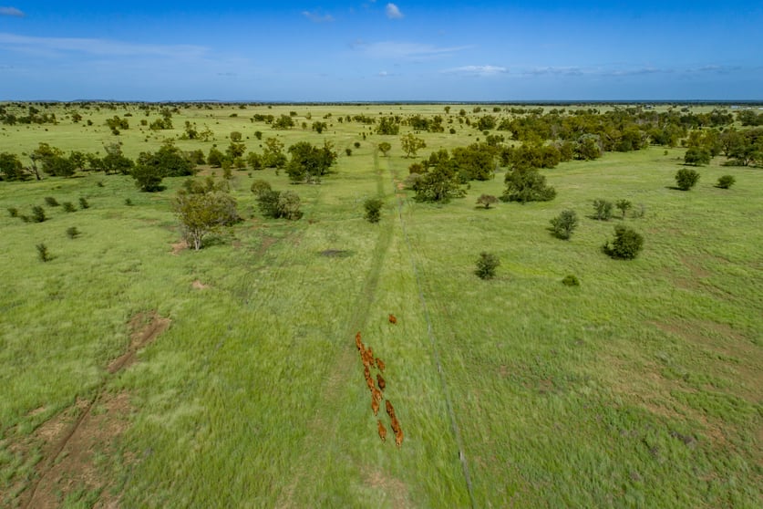 Click to view all images 2238 Surat Development Road Surat QLD 4417 - Image 2