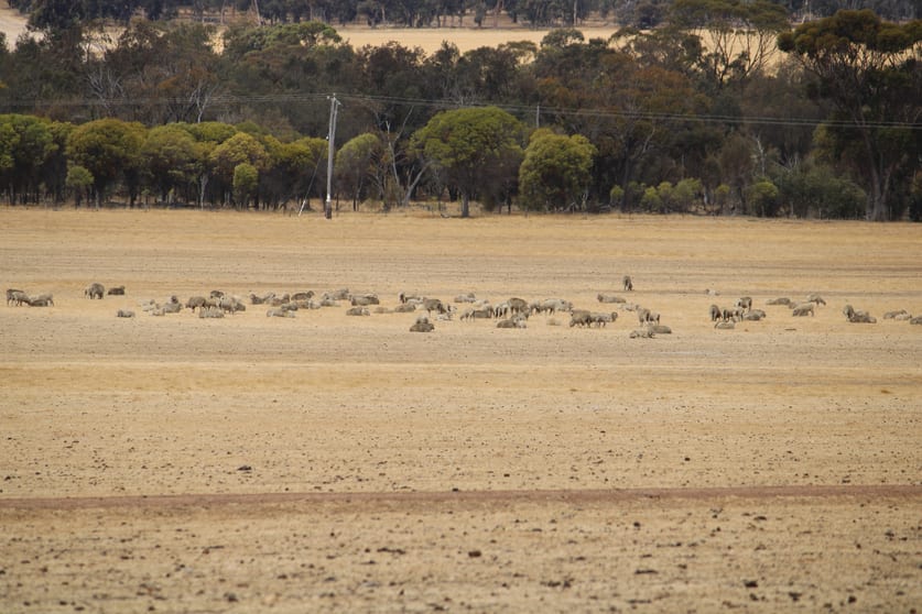 191 Great Southern Highway Woodanilling WA 6316 - Image 1