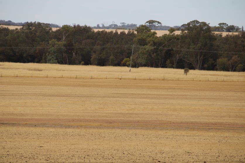 191 Great Southern Highway Woodanilling WA 6316 - Image 2