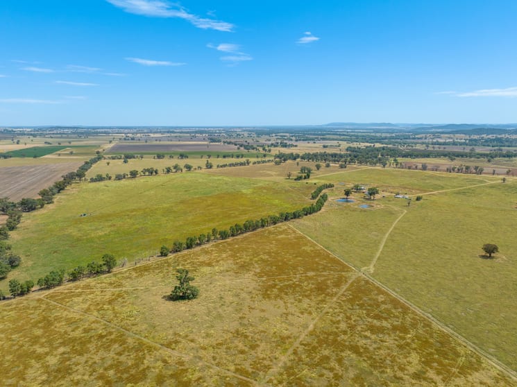 69 Nelligan Road Gooloogong NSW 2805 - Image 1