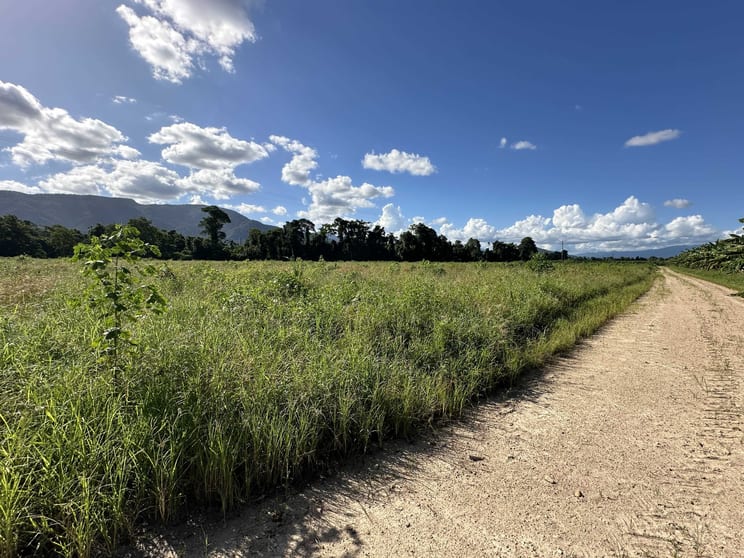 Lot 2 South Davidson Road Munro Plains QLD 4854 - Image 3
