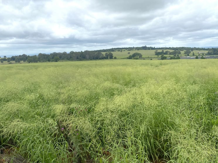 Click to view all images Lot 224 Schellbachs Road Kingaroy QLD 4610 - Image 2