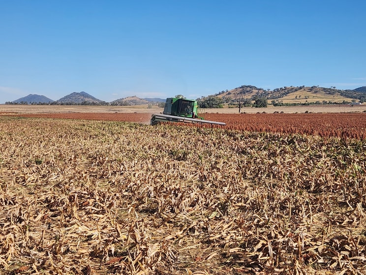 . Duri Winton Rd Winton NSW 2344 - Image 2