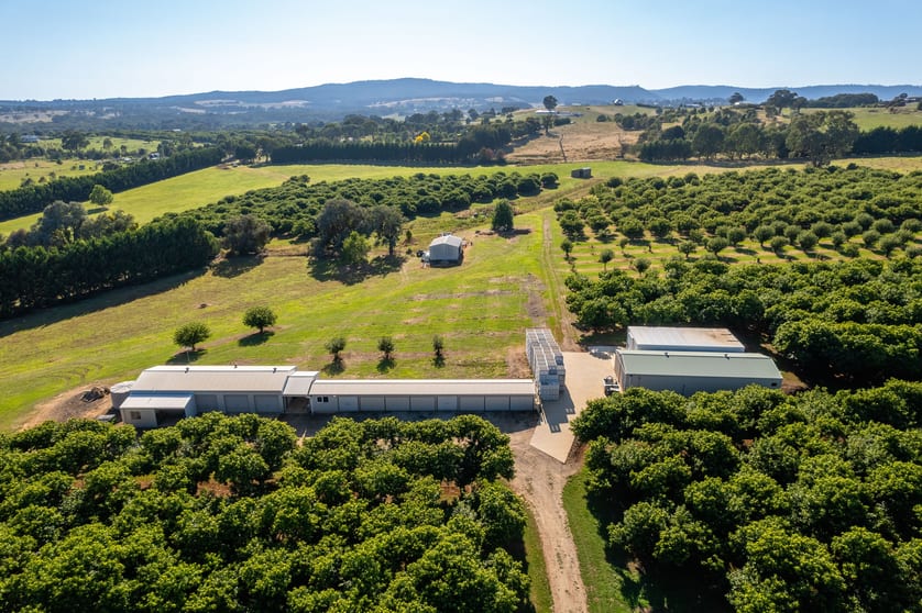 Click to view all images 19 Zig Zag Road Beechworth VIC 3747 - Image 2