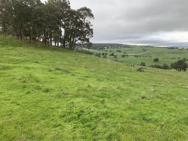177 Pile Road Henty WA 6236 - Image 3