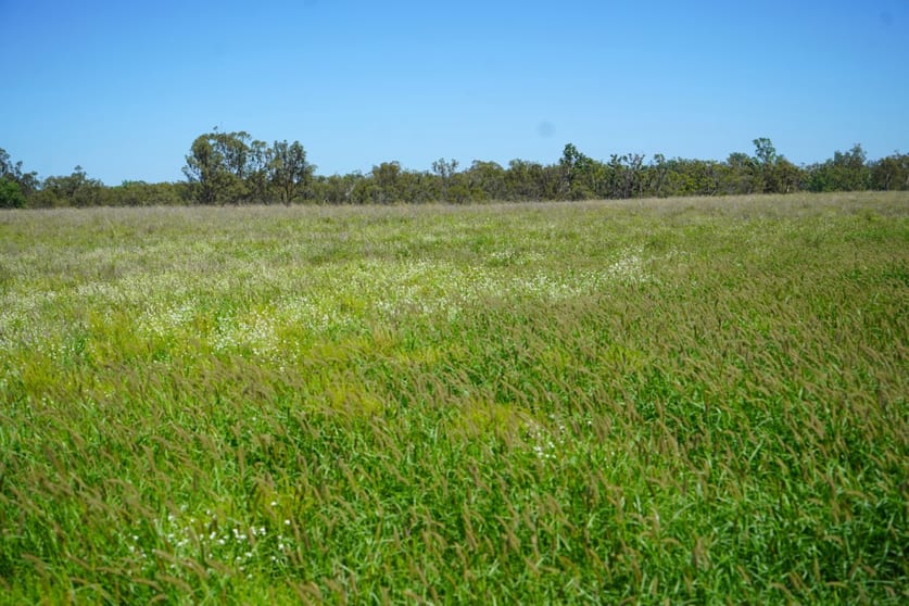 Click to view all images Roma QLD 4455 - Image 2