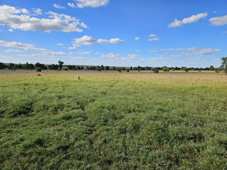 Click to view all images 6956 Dunkeld Road Roma QLD 4455 - Image 1