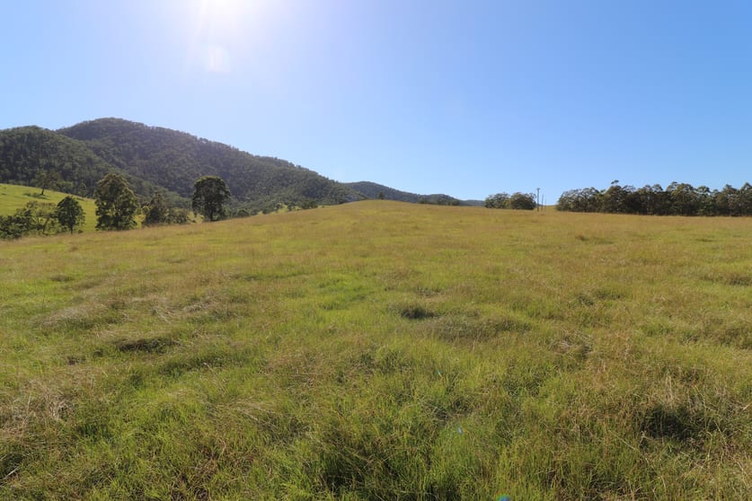 Click to view all images Lot 91/7986 Kempsey Rd Lower Creek NSW 2440 - Image 3