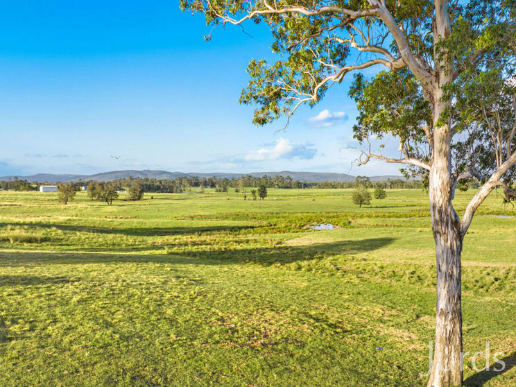 Click to view all images 392 Tocal Road Mindaribba NSW 2320 - Image 2