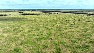 Click to view all images 0 Dennes Road Meandarra QLD 4422 - Image 1