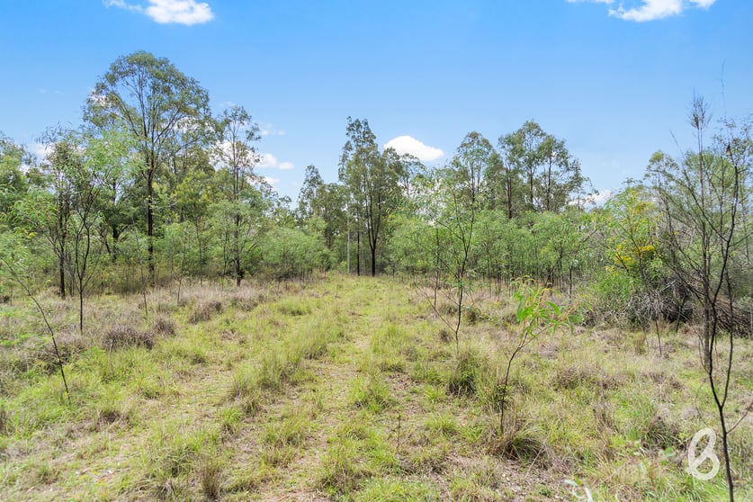 Click to view all images Site 8 Glendonbrook Road & Blind Creek Road Singleton NSW 2330 - Image 1