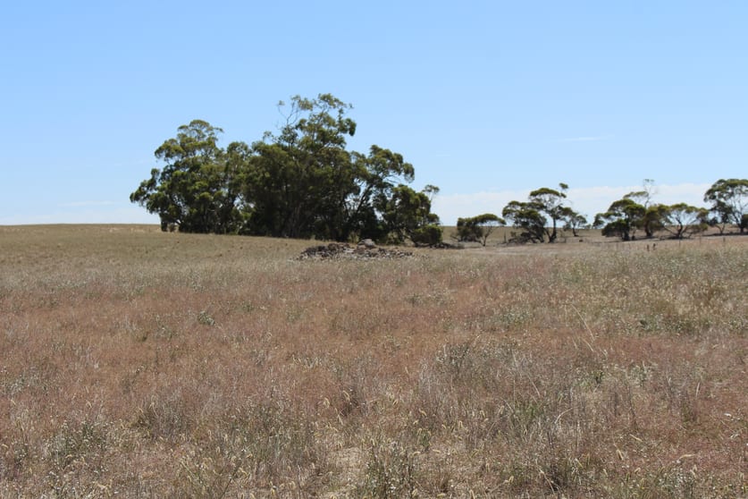 Click to view all images Proposed Allotment 2 Barney Road Netherton SA 5301 - Image 1