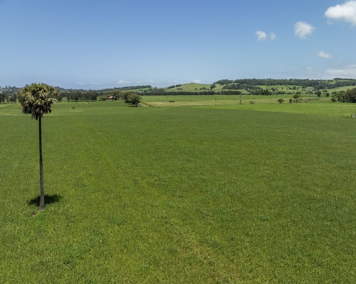 Click to view all images Lot 3003 - Grasmere Rose Valley Road Rose Valley NSW 2534 - Image 3