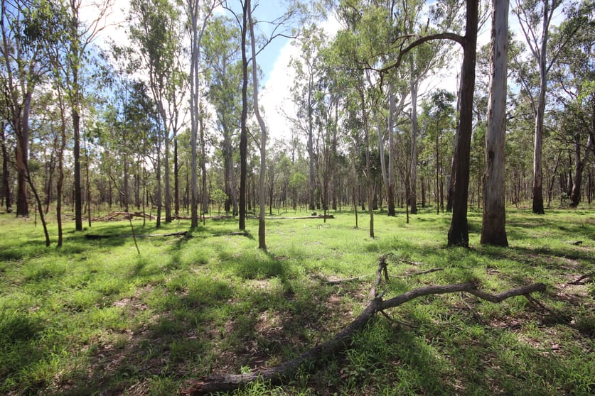 Click to view all images Allies Creek Road Monogorilby QLD 4626 - Image 1