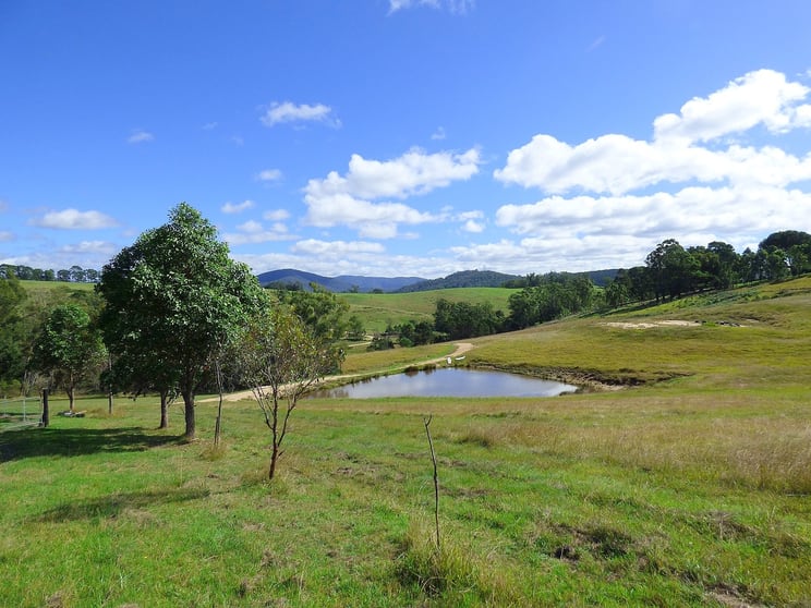 Click to view all images 485 Pericoe Rd Towamba NSW 2550 - Image 2