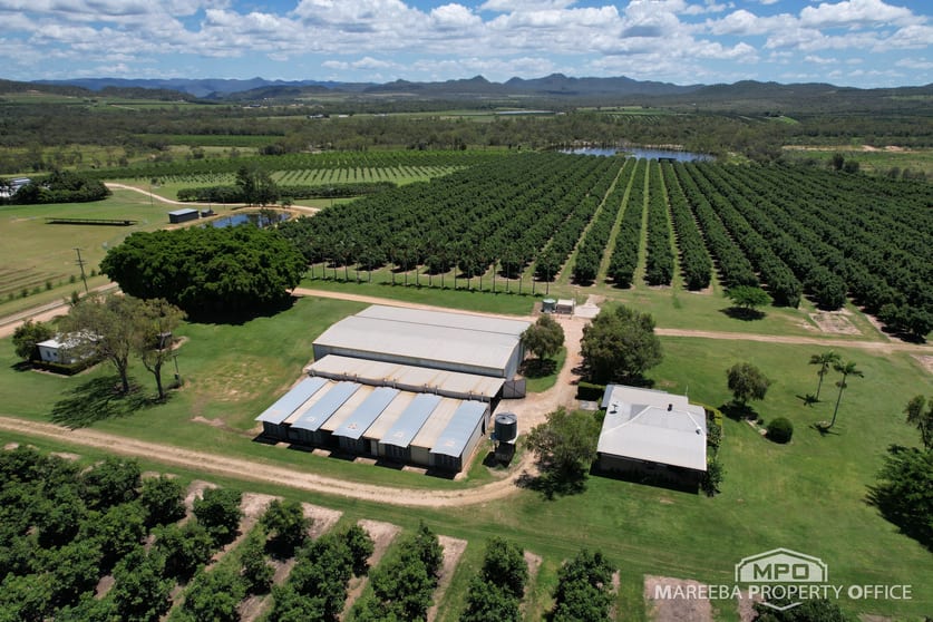 65895 Burke Developmental Road Dimbulah QLD 4872 - Image 1