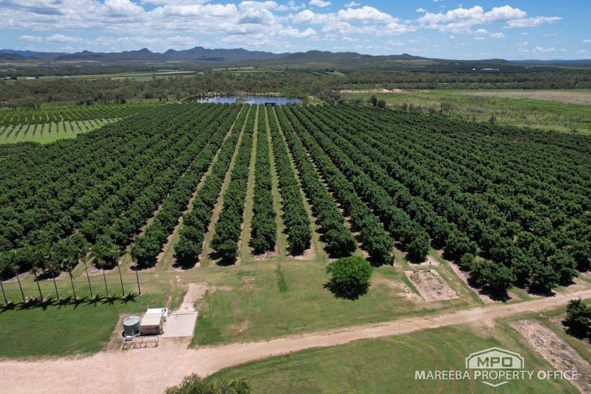 65895 Burke Developmental Road Dimbulah QLD 4872 - Image 3