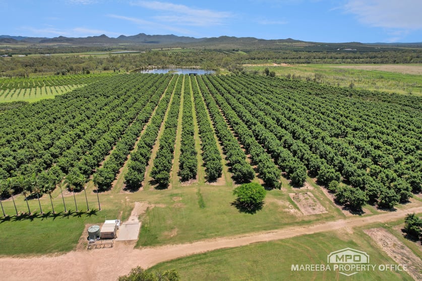 Click to view all images 65895 Burke Developmental Road Dimbulah QLD 4872 - Image 3