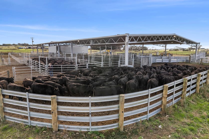 Click to view all images Ecklin South VIC 3265 - Image 3