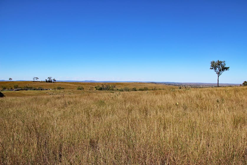 Click to view all images "Valencia" 1164 Camboon Road Harrami QLD 4630 - Image 3