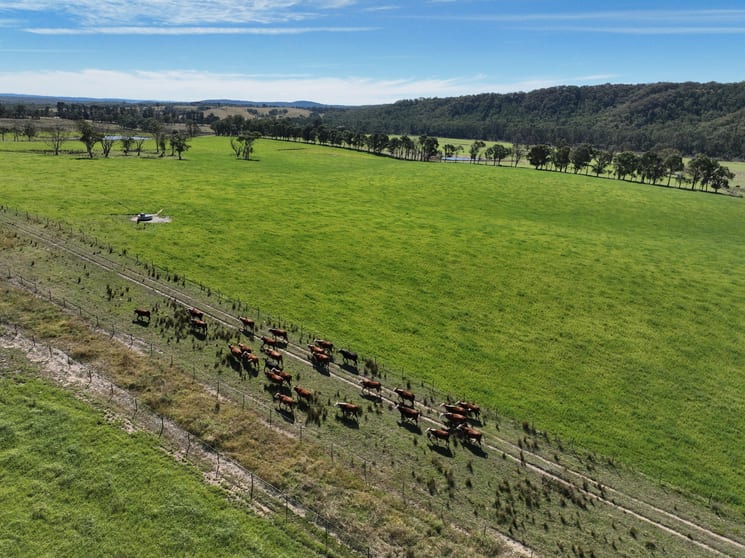 710 Inverary Road Paddys River NSW 2577 - Image 1