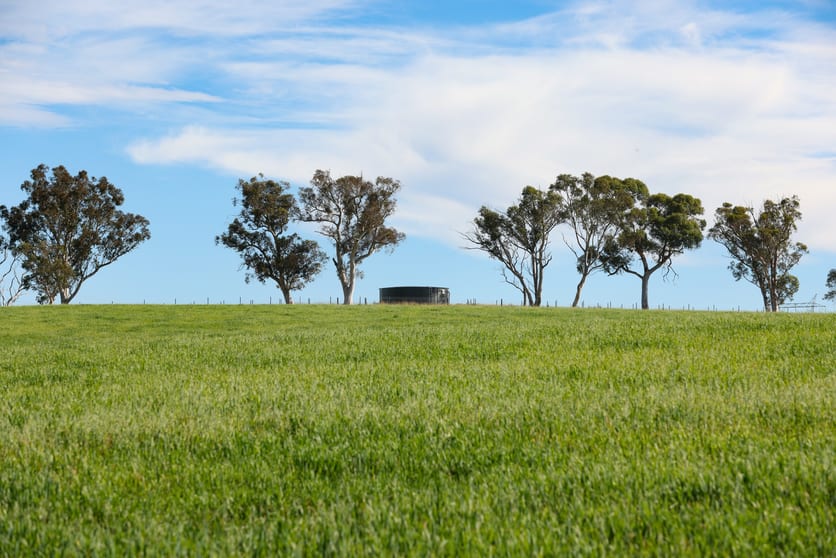 710 Inverary Road Paddys River NSW 2577 - Image 2