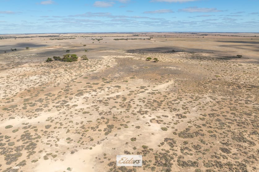 Click to view all images 15 Mallee Highway Cowangie VIC 3506 - Image 3