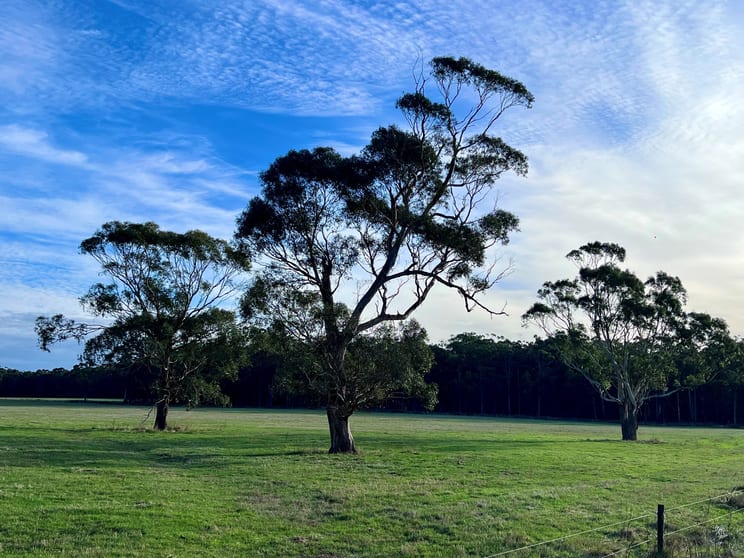 Click to view all images Cemetery Road Cobden VIC 3266 - Image 1