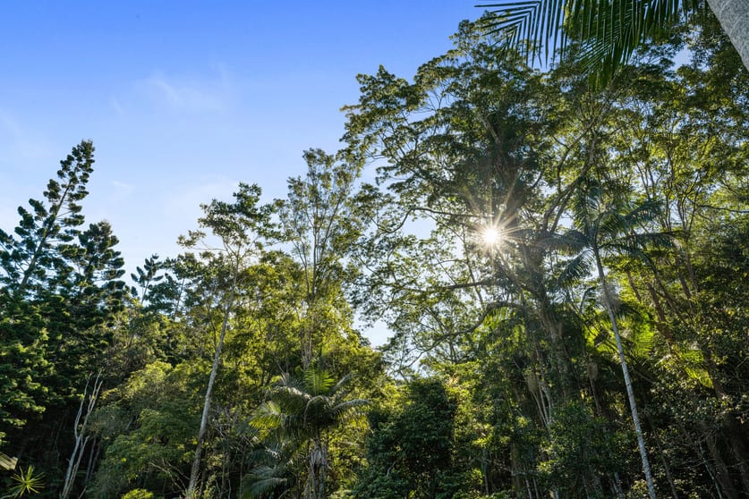 Click to view all images 222 Urliup Road Bilambil NSW 2486 - Image 2