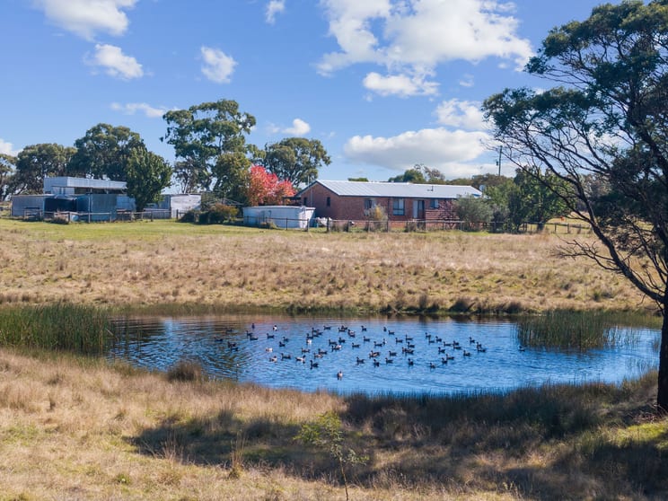 Click to view all images 420 Cullulla Rd Tarago NSW 2580 - Image 1