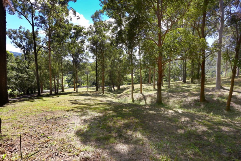 Click to view all images 38 Gerara Court Clagiraba QLD 4211 - Image 3