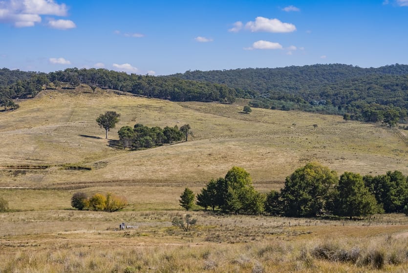 Hideaway Hill, 730 Berrebangelo Road Yass River NSW 2582 - Image 2