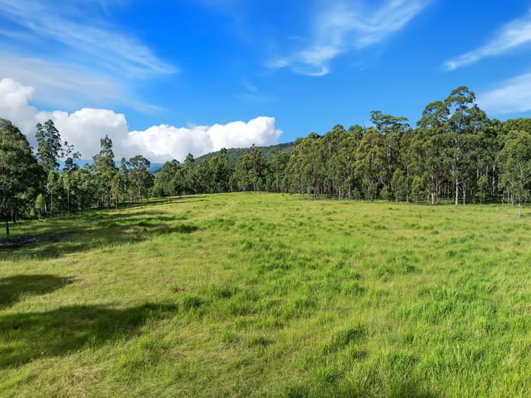 Duck Creek NSW 2469 - Image 1