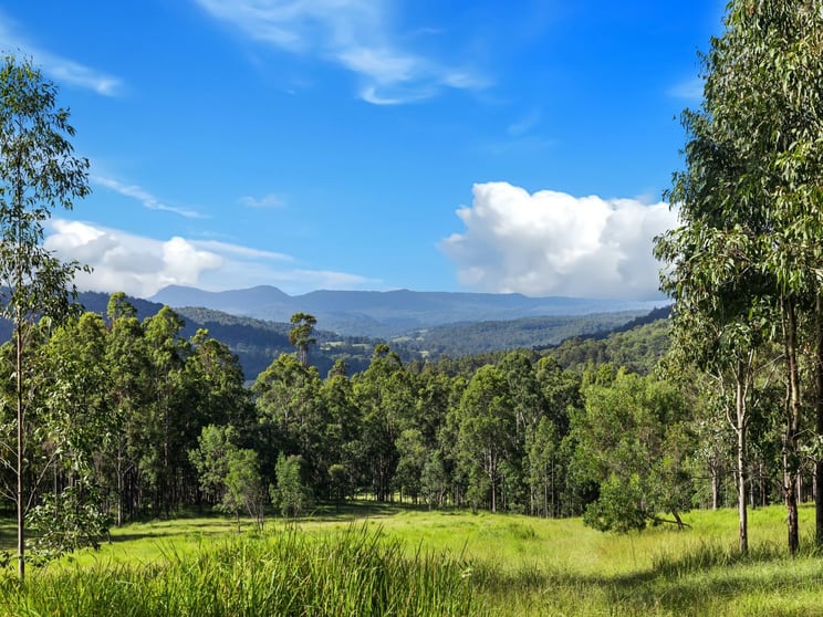 Duck Creek NSW 2469 - Image 3