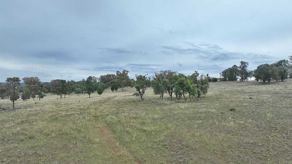 Click to view all images 1632 GAMBLE CREEK ROAD Binnaway NSW 2395 - Image 3