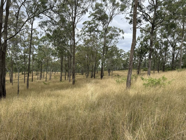Click to view all images Lot 46 Bunya Mountains Maclagan Road Rangemore QLD 4352 - Image 2