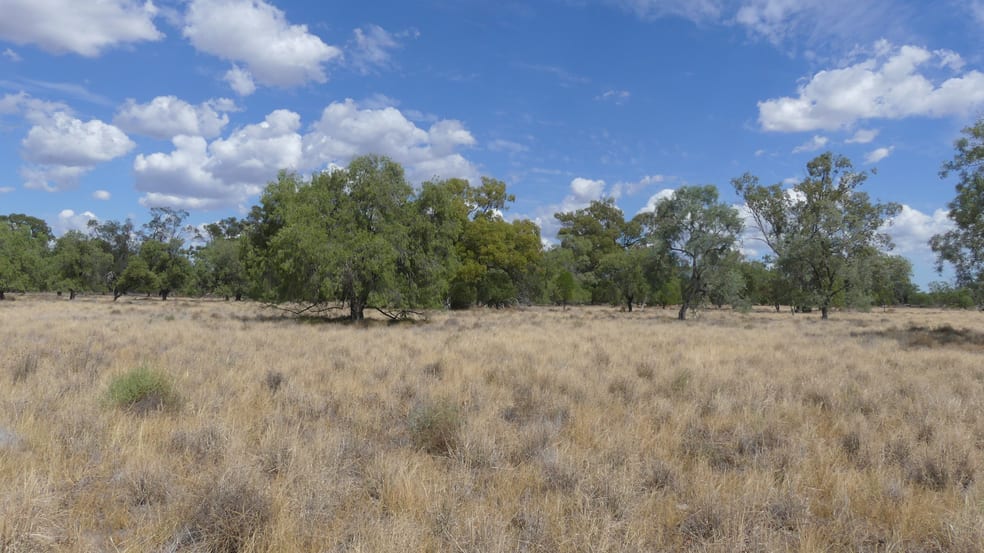 Click to view all images 382 Duffity Rd Warren NSW 2824 - Image 2