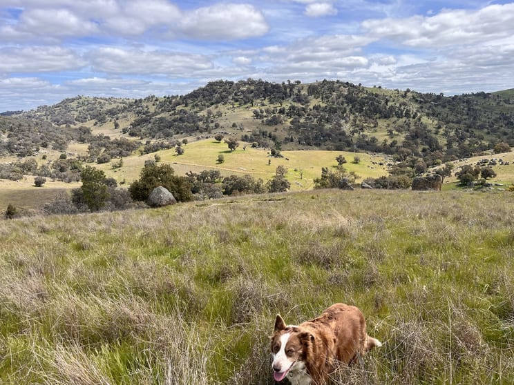 Click to view all images Lot 3 Tarrants Gap Road Wyangala NSW 2808 - Image 1