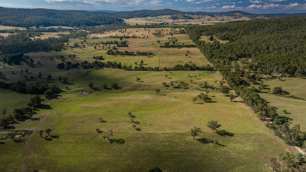 Click to view all images 'Woodville' Delegate River VIC 3888 - Image 1