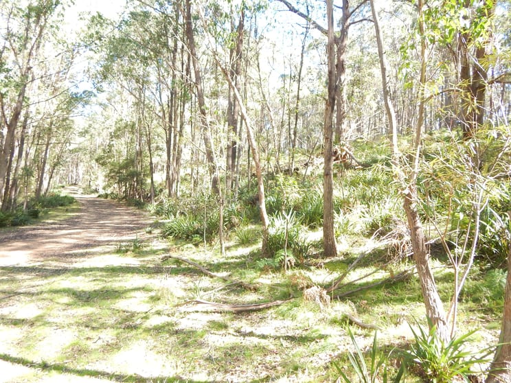 Click to view all images 1864 Tuross Road Tuross NSW 2630 - Image 3