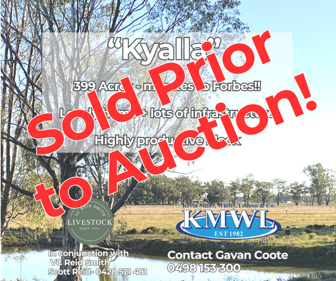 Click to view all images "Kyalla" 156 Forest Road Forbes NSW 2871 - Image 1