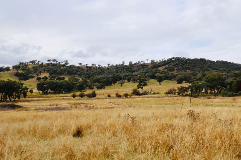 2081 Sofala Road Peel NSW 2795 - Image 3