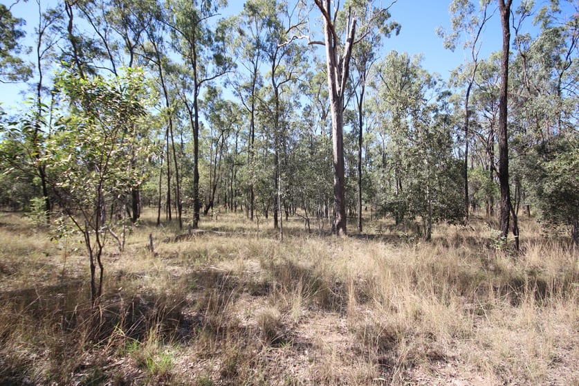 280 Stanmore Road, Coonambula Mundubbera QLD 4626 - Image 1