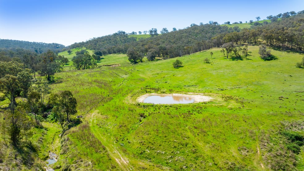 Click to view all images 486 Urana Road Lavington NSW 2641 - Image 2