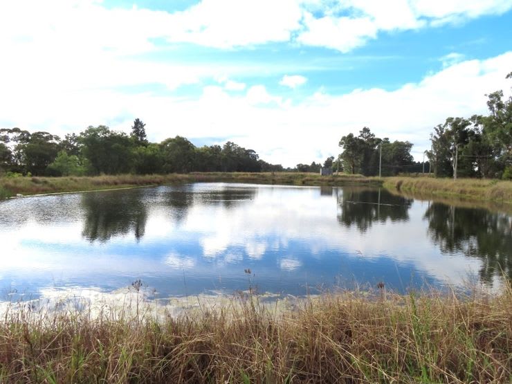 Click to view all images 178 Halloran Drive Cottonvale QLD 4375 - Image 2