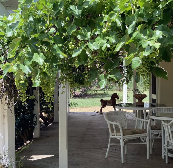 Click to view all images "Aramis", 4454 Lachlan Valley Way Forbes NSW 2871 - Image 2