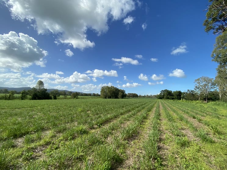 Click to view all images 113 Koumala-Bolingbroke Road Koumala QLD 4738 - Image 1